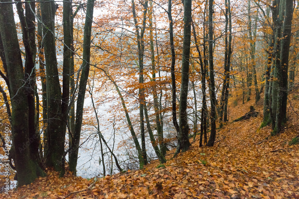 See im Herbst, Polen