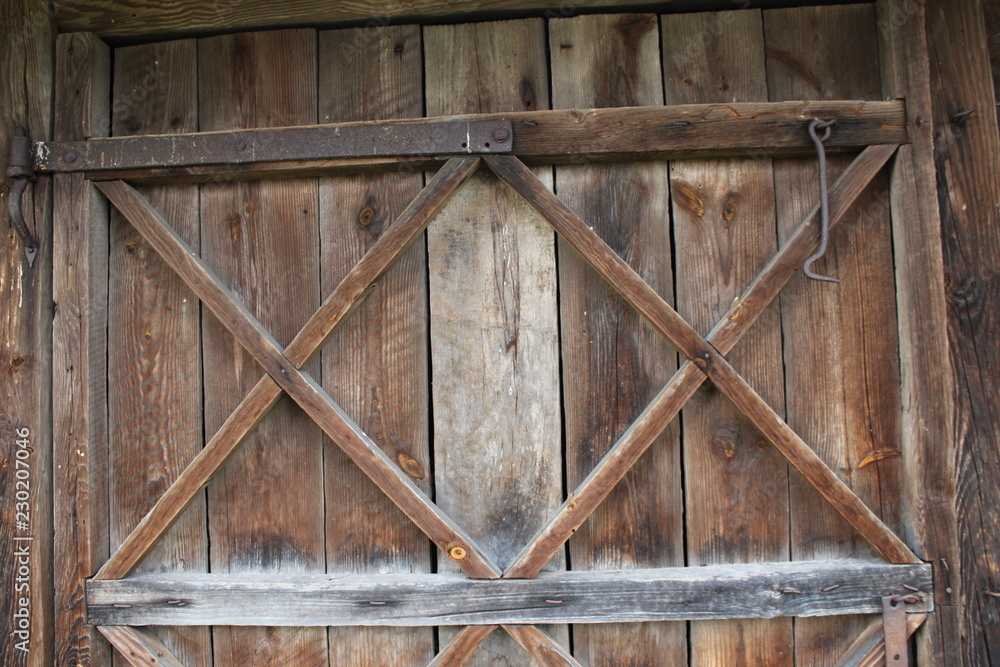Naklejka premium tree, wood, door