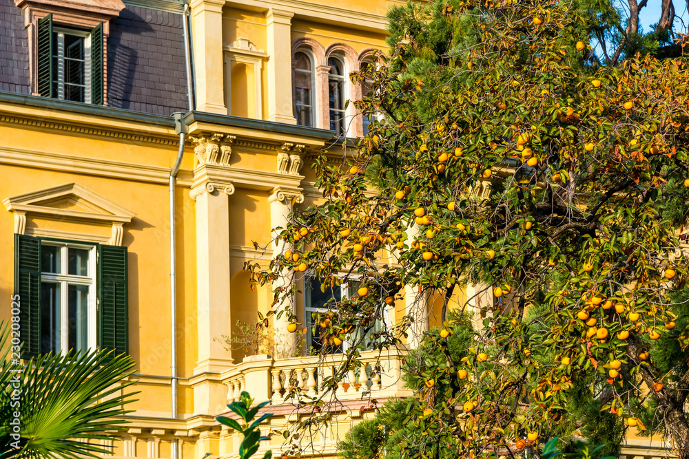 gelbe Fassade eines herrschaftlichen Hauses mit Kakibaum davor