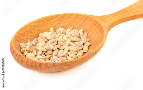 Pearl barley in spoon