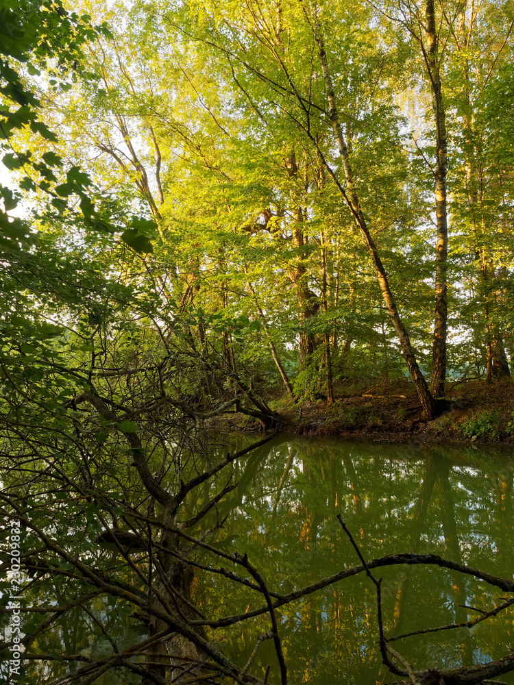 Fototapeta premium Naherholungsgebiet Ellerthäuser See, Landkreis Schweinfurt, Unterfranken, Deutschland....
