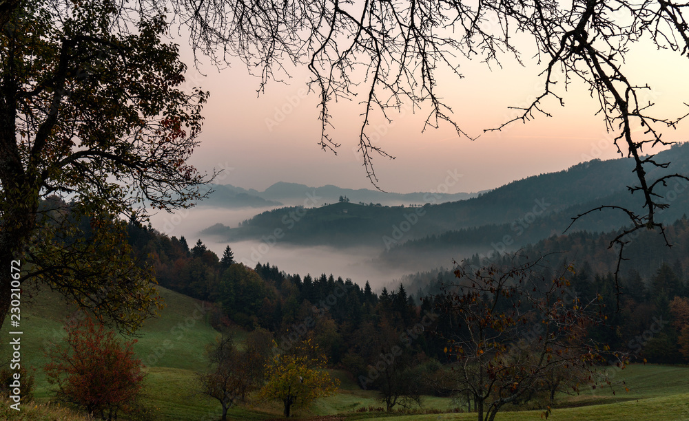 Autumnal foggy sunrise on the mountain and the valley. View through the branches of trees