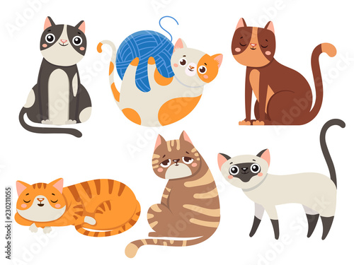Cute cats. Fluffy cat, sitting kitten character or domestic animals isolated vector illustration collection