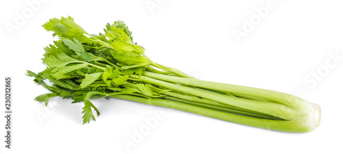fresh celery isolated on a white background