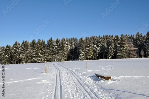 Langlauf in Ernstthal photo