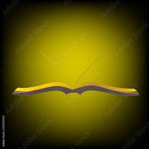 golden light book in the dark background , vector illustration.