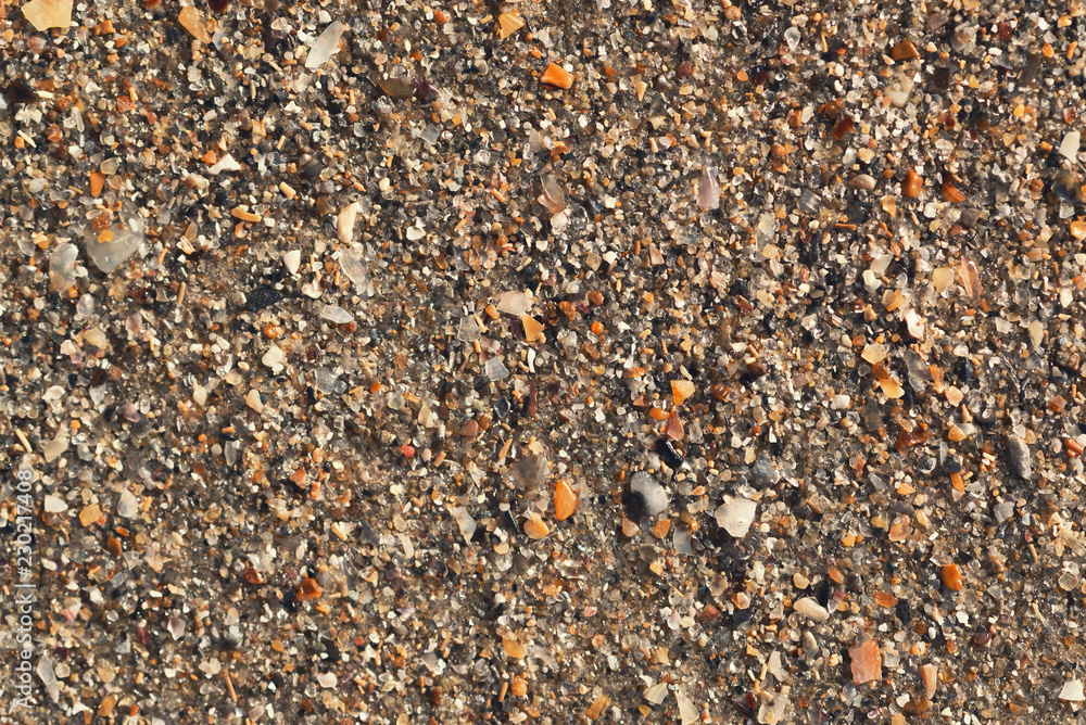 texture of crushed seashells texture of crushed seashells