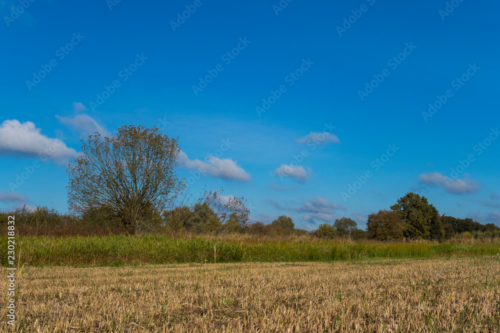 nature scene landscape münster rieselfelder in germany nature scene landscape münster rieselfelder in germany