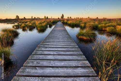 Nature zen walk at sunset