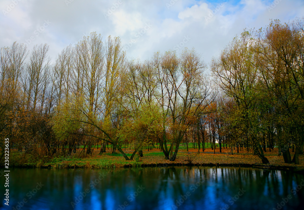Autumn trees on park river bank background