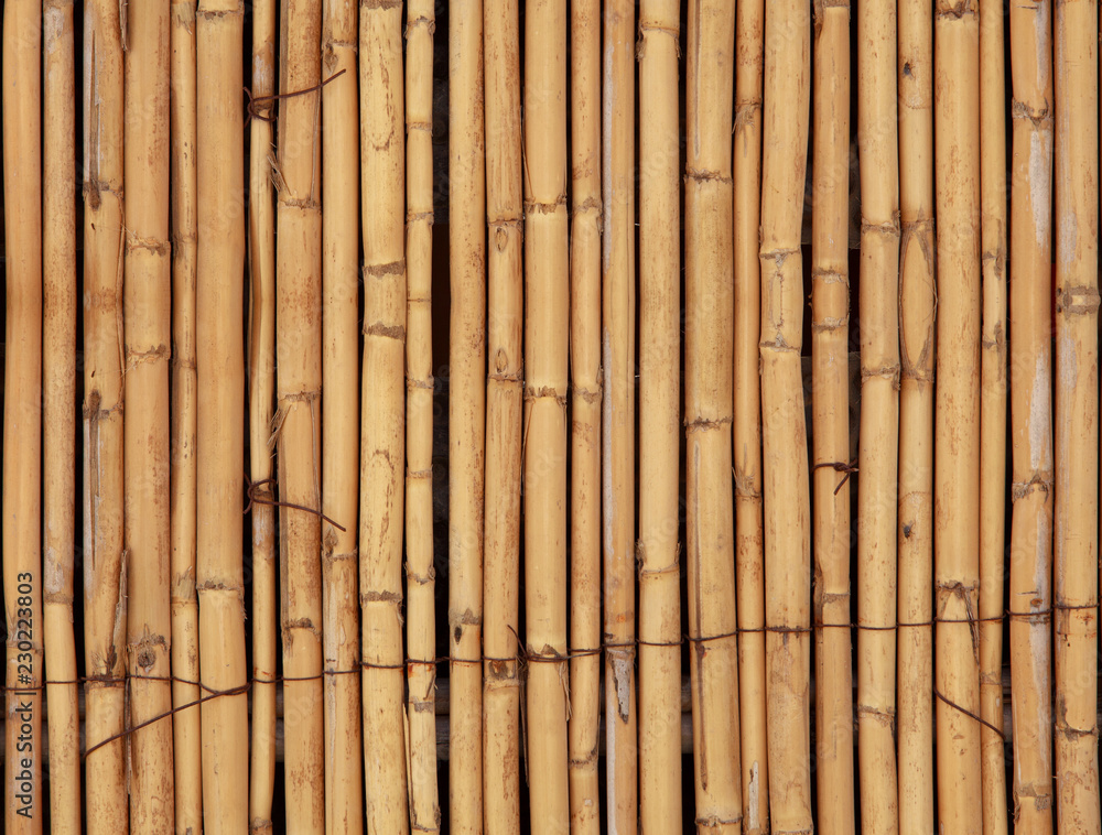 The texture of the dry reeds. Yellow reeds. The texture of the dry reeds. Yellow reeds.