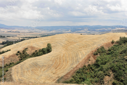 Abgeerntete Weizenfelder  Landschaft s  dlich von Pienza  Toskana  Italien  Europa    ffentlicherGrund  Europa