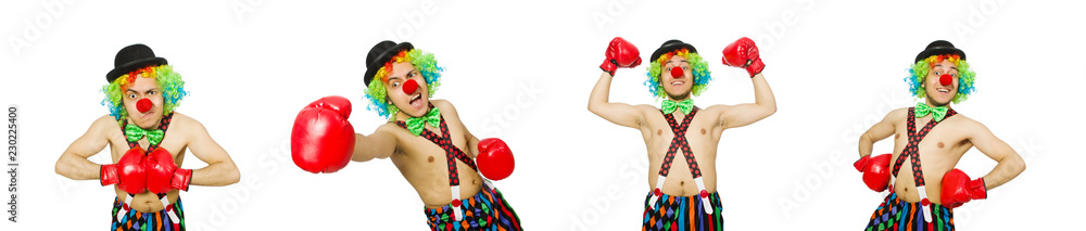 Clown with boxing gloves isolated on the white Clown with boxing gloves isolated on the white