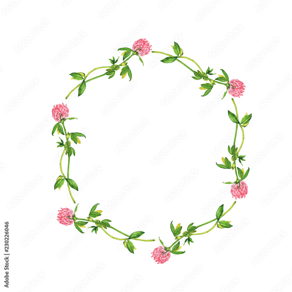 Pink clover flowers frame isolated on white background. Hand drawn watercolor illustration.