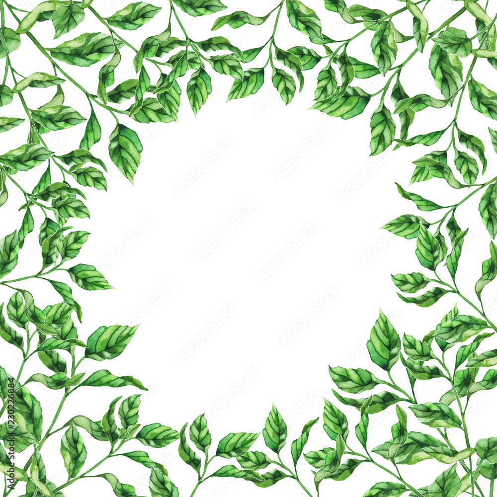 Fresh green leaves border on white background. Hand drawn watercolor illustration. Fresh green leaves border on white background. Hand drawn watercolor illustration.