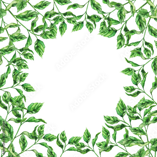 Fresh green leaves border on white background. Hand drawn watercolor illustration.