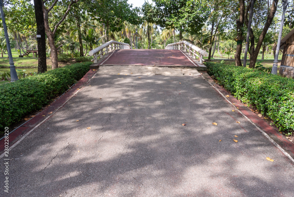 path in the park