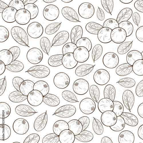 Blueberry. Berries, leaves. Background, wallpaper, texture, seamless. Monophonic. Sketch