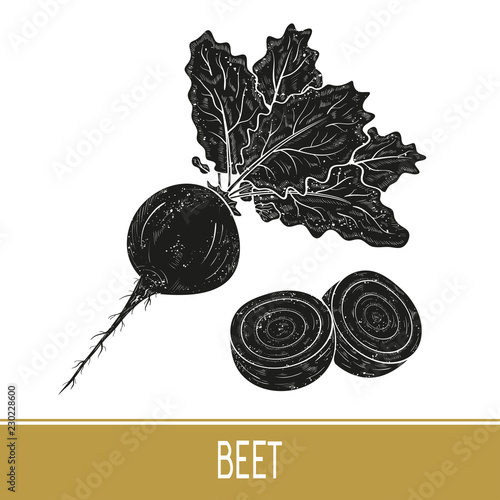 Beet. Vegetable. Root, fruit, leaves. Black silhouette on bedlam background. Set.