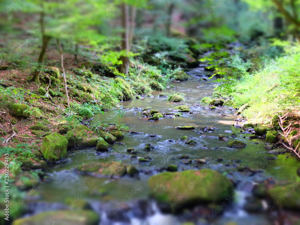 magic of water and nature magic of water and nature