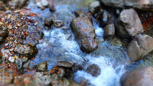 magic of water and nature