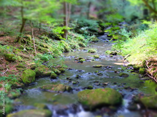 magic of water and nature