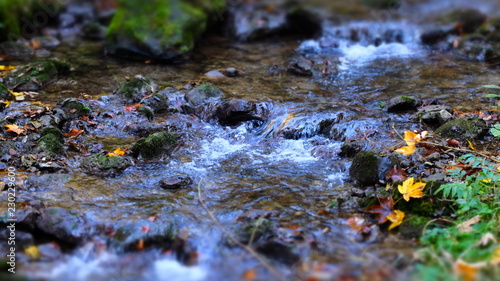 magic of water and nature