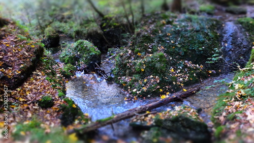 magic of water and nature