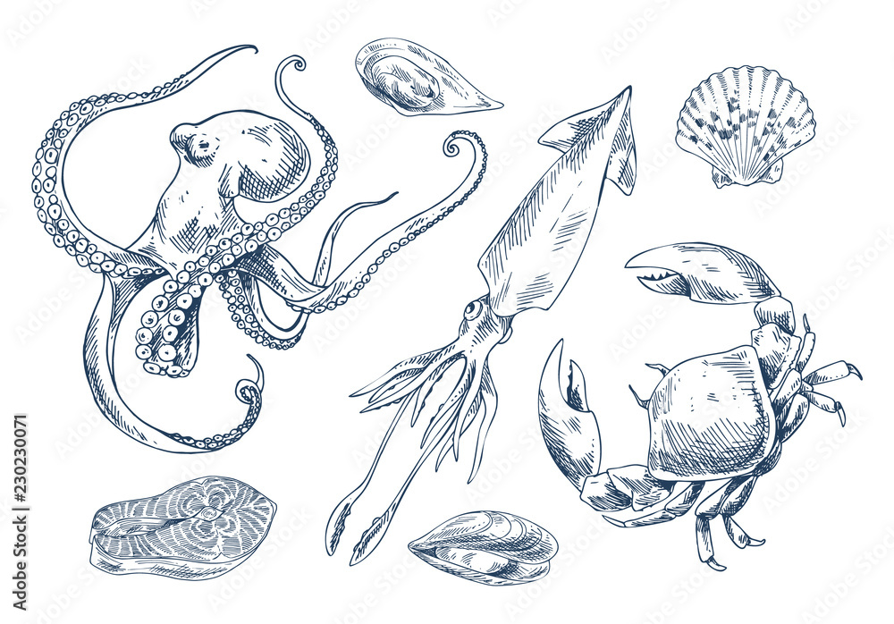 Obraz premium Isolated on White Seafood Vector Illustration