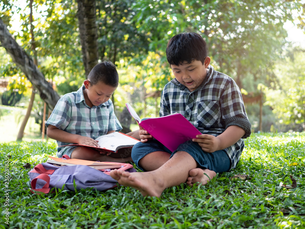 Cute two asian student boy reading book in the nature park with sunlight background, people, learning, relax, education and Natural classroom concept.. Cute two asian student boy reading book in the nature park with sunlight background, people, learning, relax, education and Natural classroom concept..