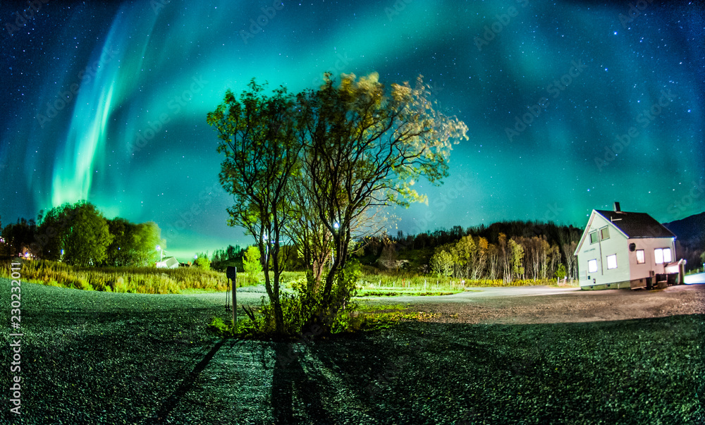 Naklejka premium Northern lights in Norway