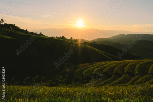 Sunset of Terraced fields in Chiangmai