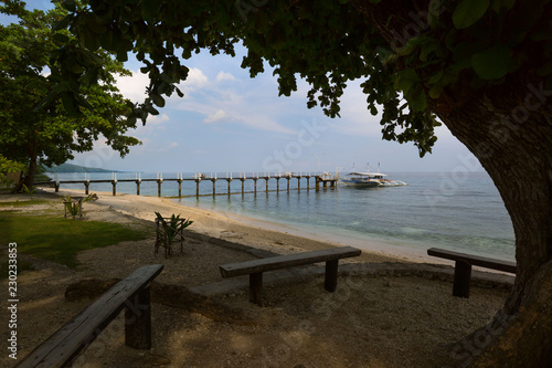 Fototapeta Naklejka Na Ścianę i Meble -  Pier to Sumilon Island Cebu Philippines, in a tranquil scene under a big tree gives shadow to travelers while wating for the boat ride to the island resort