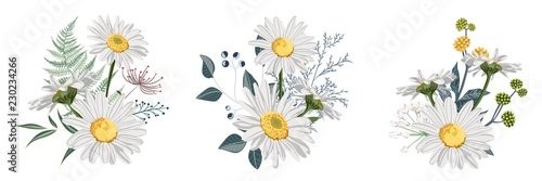 Vászonkép Set of Chamomile (Daisy) bouquets, white flowers, buds, green leaves, fern and berries