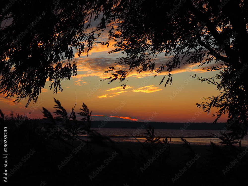 Sunset. On the big river. Coast. Tree and leaves. Summer. Russia, Ural, Perm region