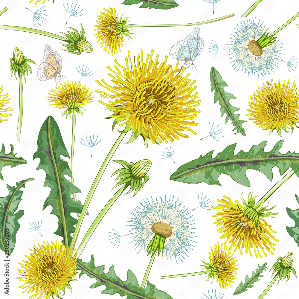 Fototapeta premium Kwiecisty bezszwowy wzór, dandelions drukuje na papierze lub tkaninie. Tło mlecze. Letnie rośliny.