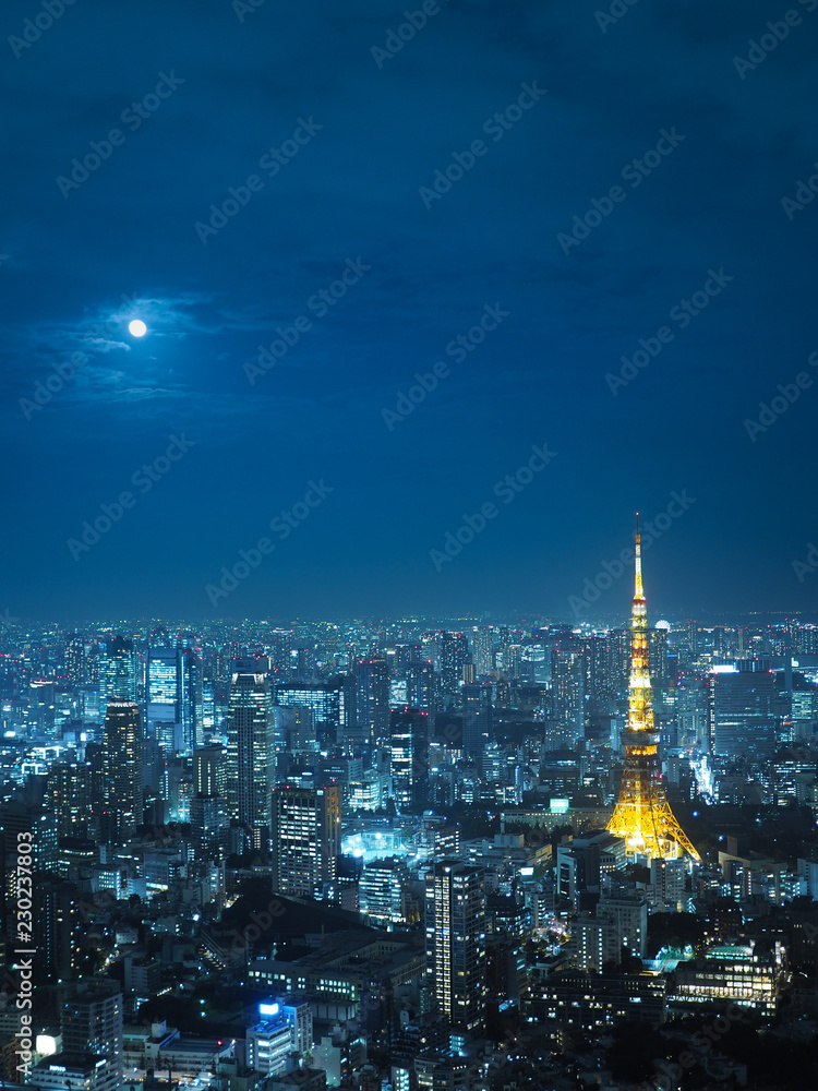  都市景観　 東京　東京タワーなど