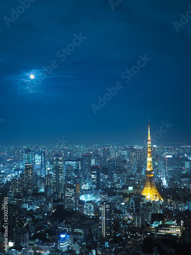  都市景観 東京 東京タワーなど