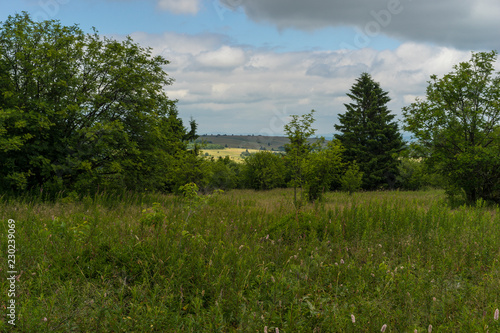 Landschaft um den Heidelstein in der Rh  n  Biosph  renreservat Rh  n  Unterfranken  Franken  Bayern  Deutschland