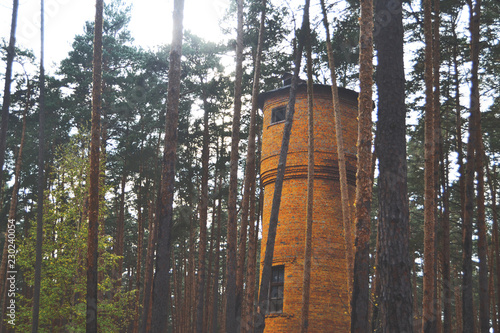 Unusual brick tower in a pine forest, abandoned and mysterious photo