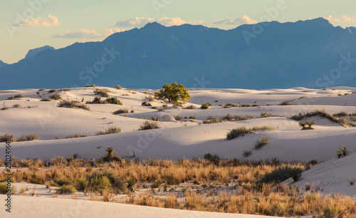 White Sands National Monument fall sence with mountain background