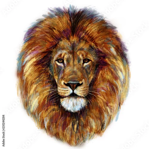Naklejka na ścianę Cyfrowy obraz męskiej głowy lwa