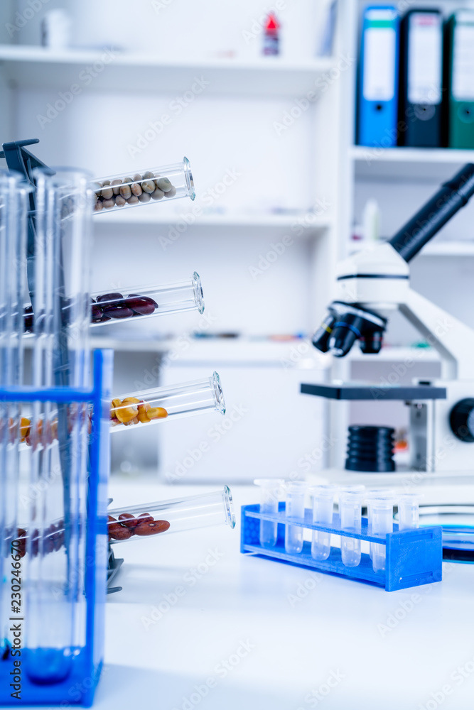 Chemical Laboratory of the Food supply . Food in laboratory, dna modify .GMO Genetically modified food in lab . Chemical Laboratory of the Food supply . Food in laboratory, dna modify .GMO Genetically modified food in lab .