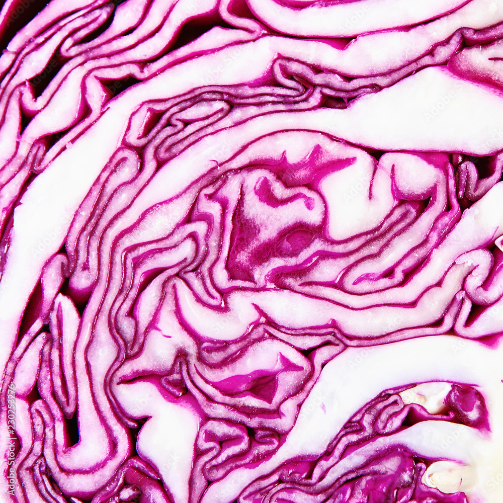 Obraz premium Winding cabbage