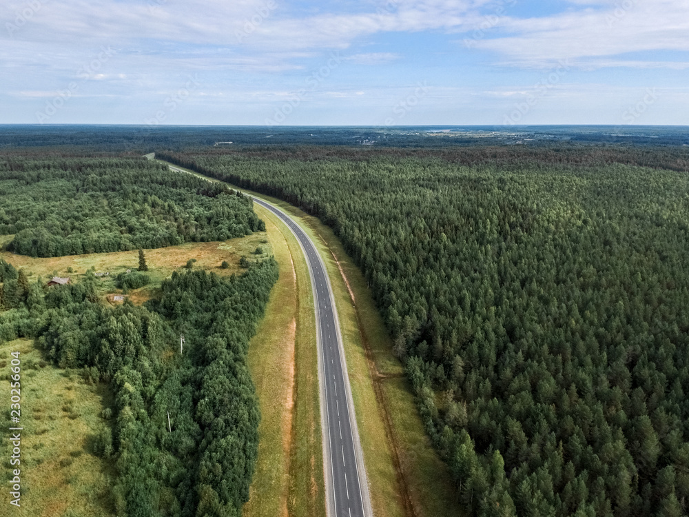 road in the forest in the North of Russia