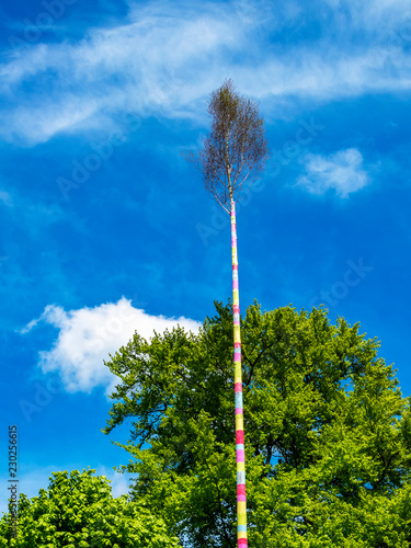 Erected maypole, Maibaum in June, Herresbach Germany photo