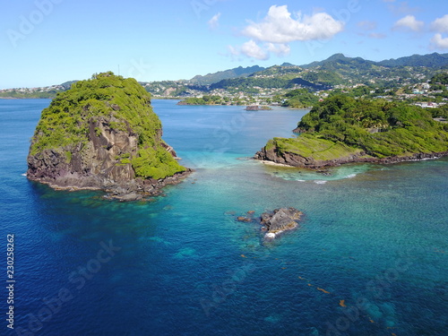 Young Island and reef, Saint Vincent and Grenadines