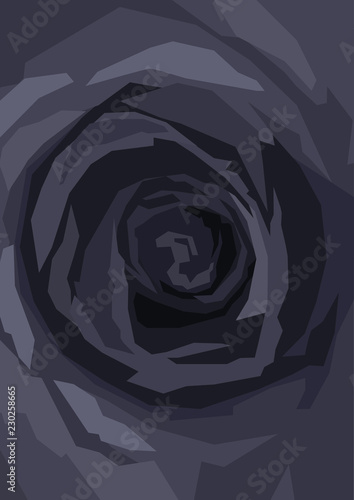Black rose close up, background in vertical format