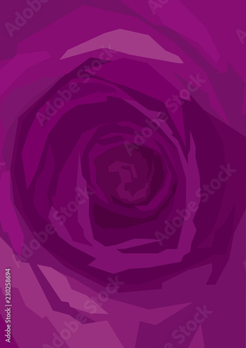 background purple rose close-up  Marsala color  violet  magenta  maroon  burgundy. vertical format