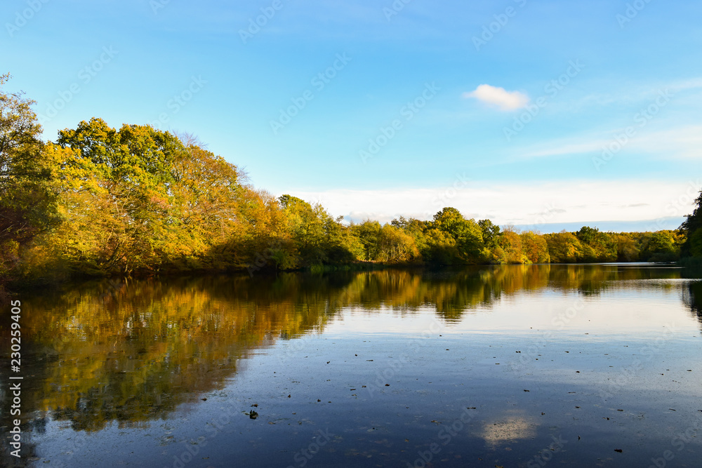 Herbstliche Spiegelung